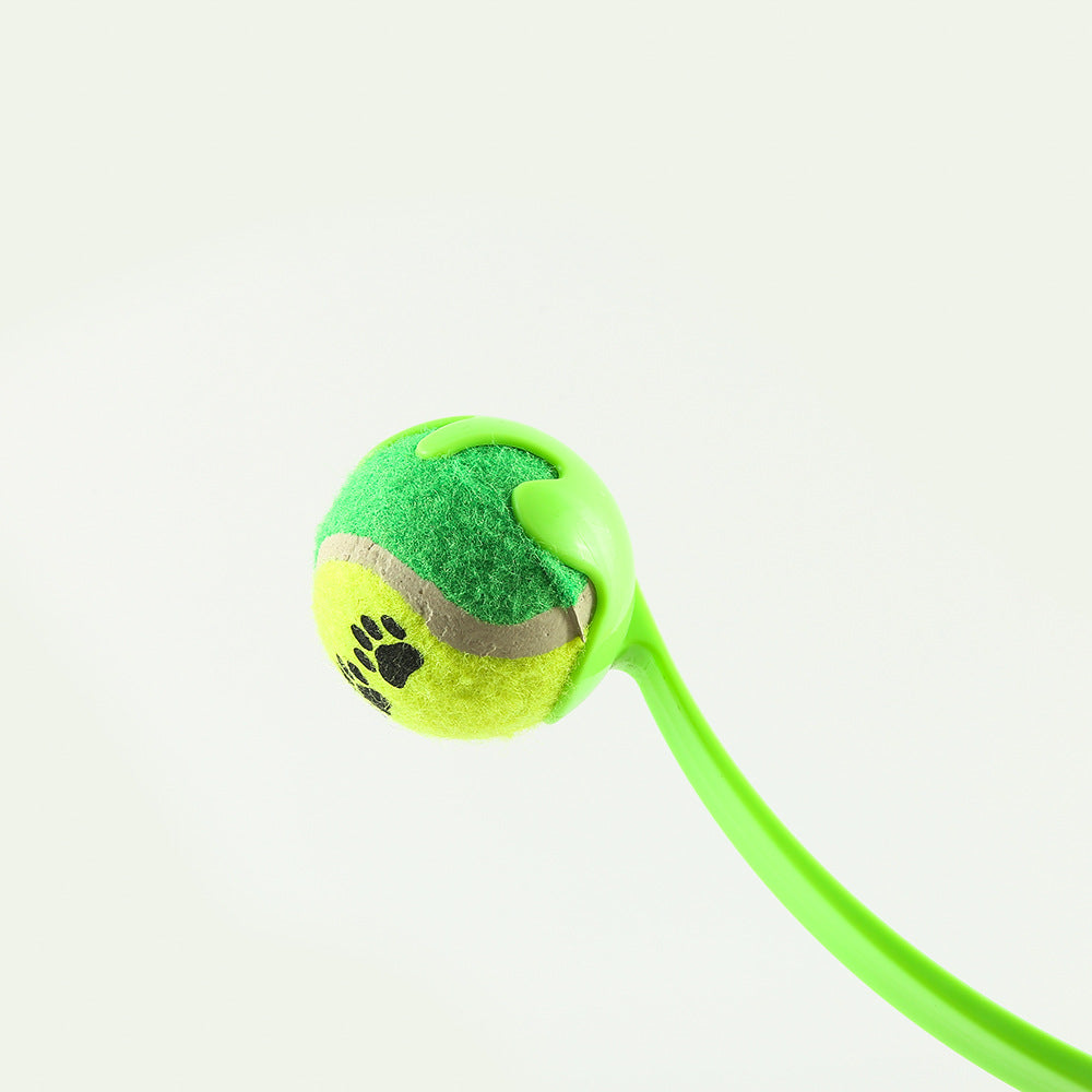 Outdoor Pet Throwing Training Toy