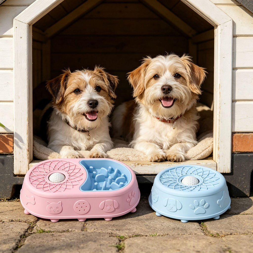 Non-Slip Pet Licking Slow-Feeding Bowl
