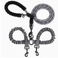 Explosion-Proof Double-Headed Pet Leash With Luminous