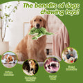 Hot-Selling Pet Plush Toys Sound And Bite-Resistant Companionship Golden Retriever Magic Fight Teddy Dog Toys New Doll