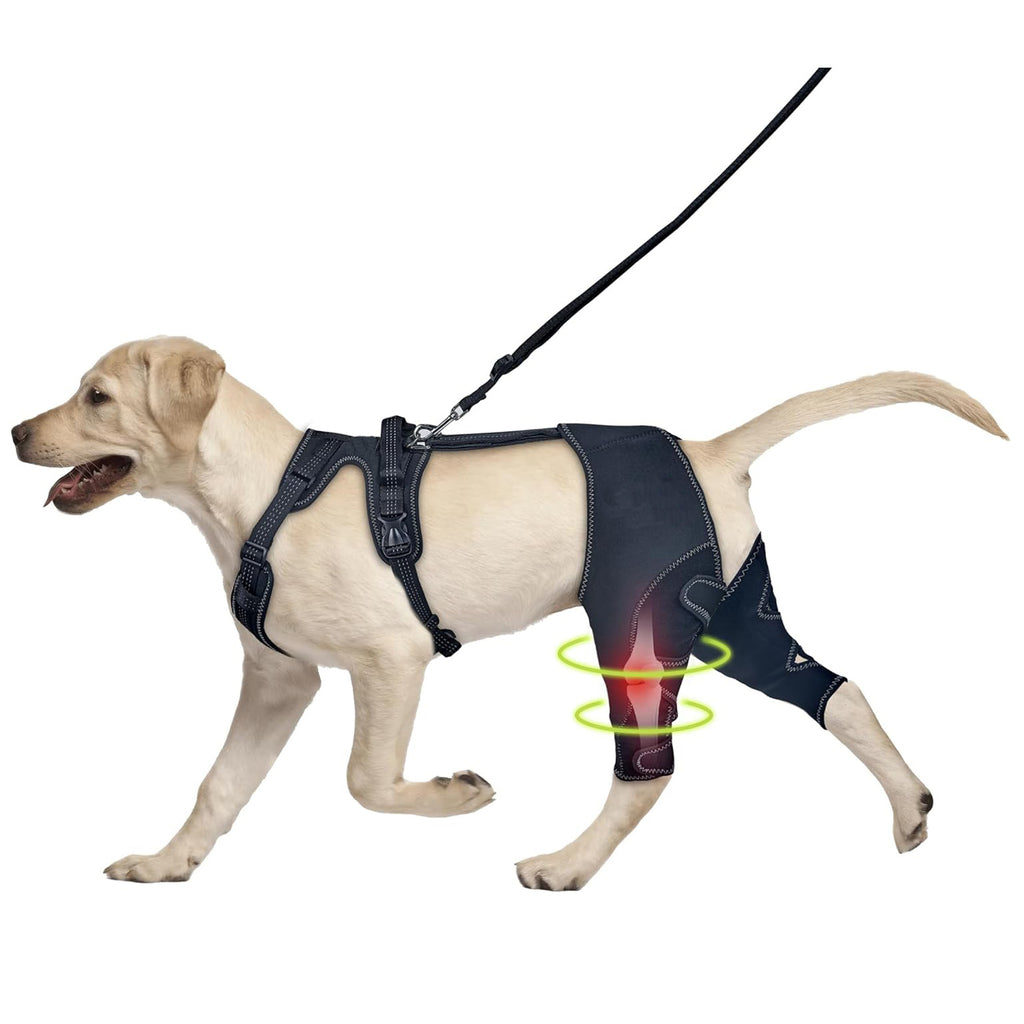 Pet Knee Brace Strap