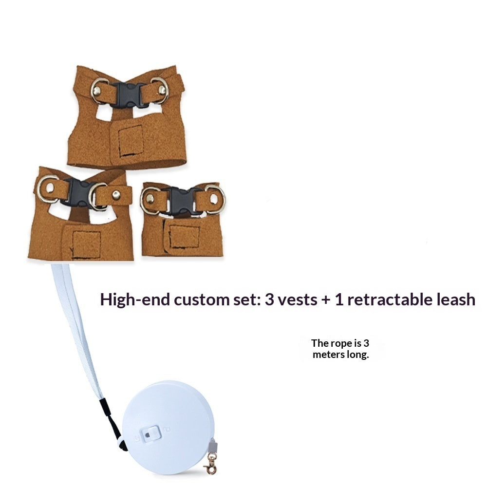 Lizard Chameleon Squirrel Pet Outdoor Chest And Harness