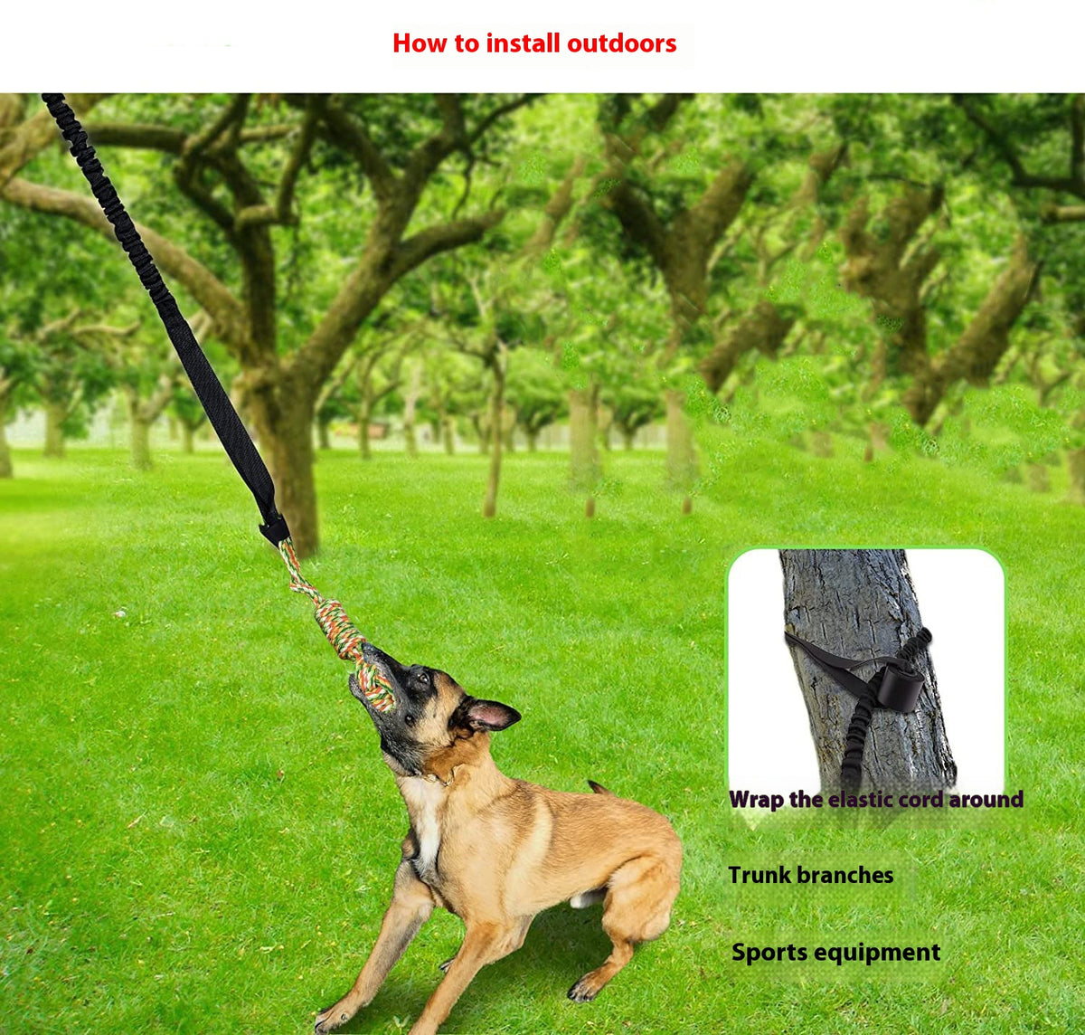 Dog Tug Of War Rope Grinding Toy