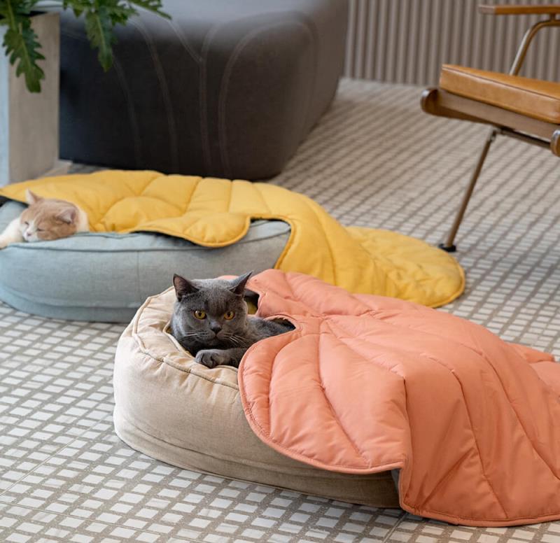 Universal Dog Mat for All Seasons
