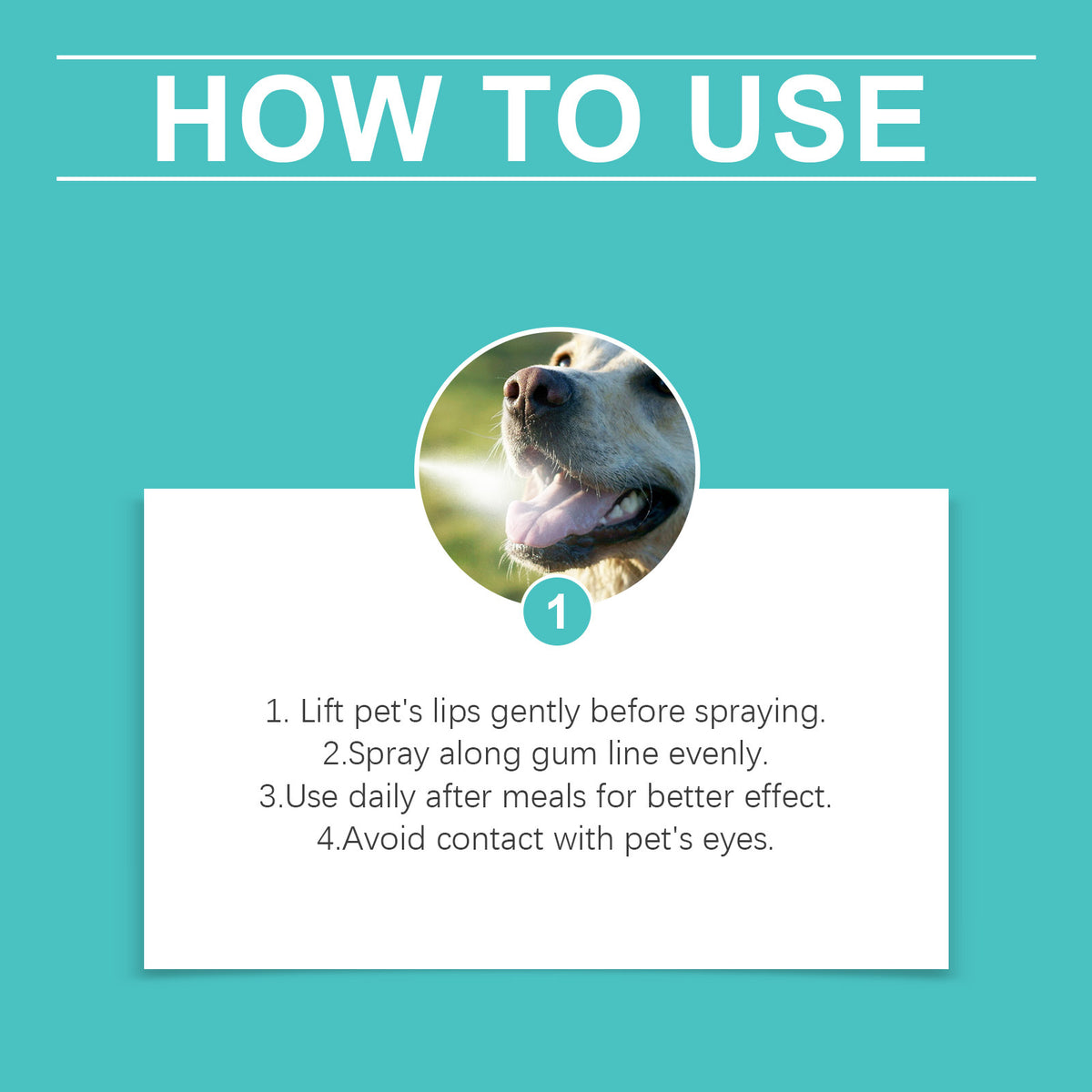Pet Mint Oral Spray