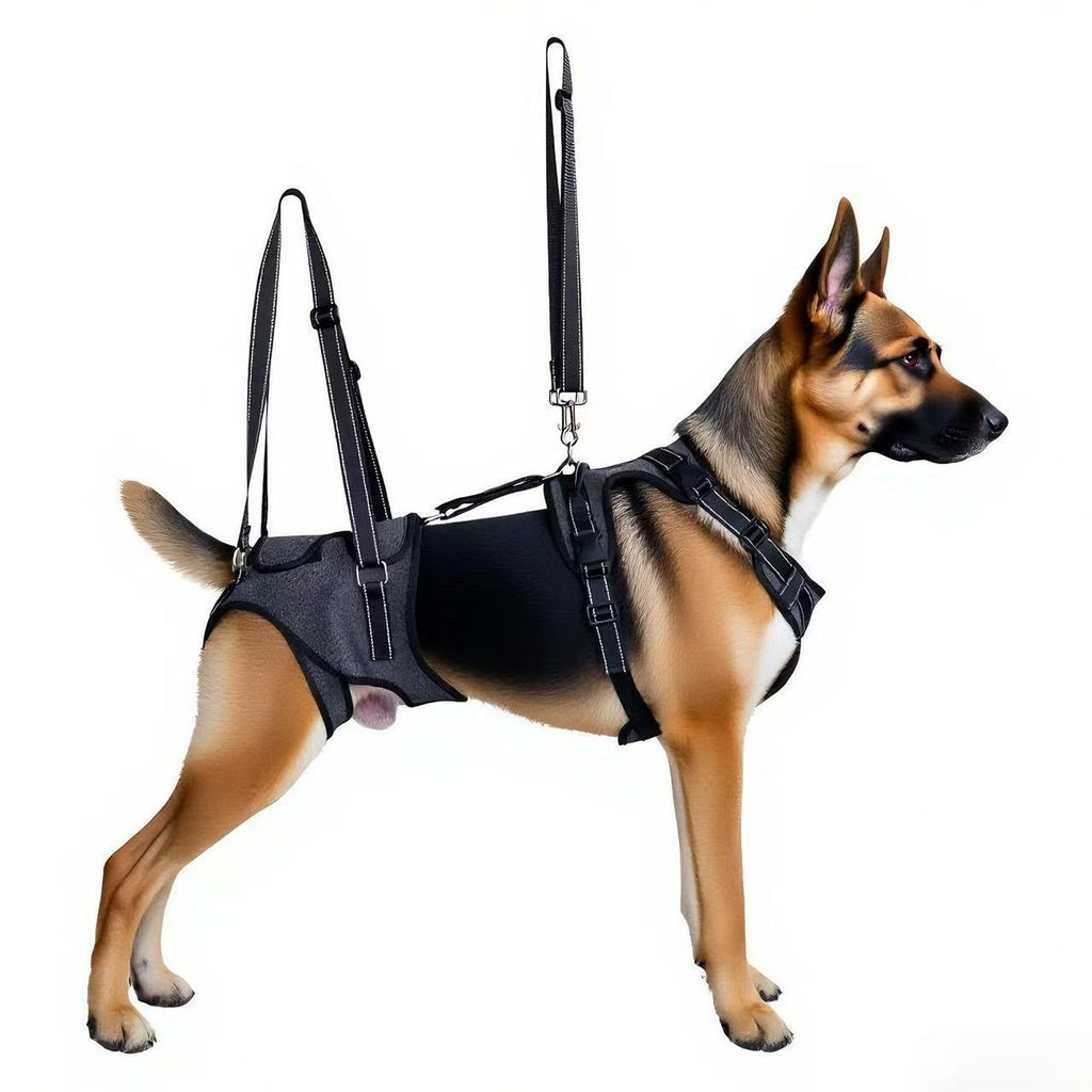 Adjustable Pet Auxiliary Belt for Senior Dogs