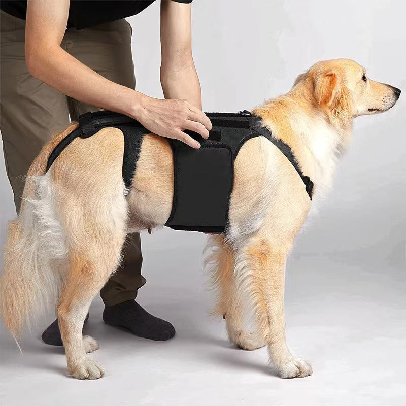 Dog Back Support Vest
