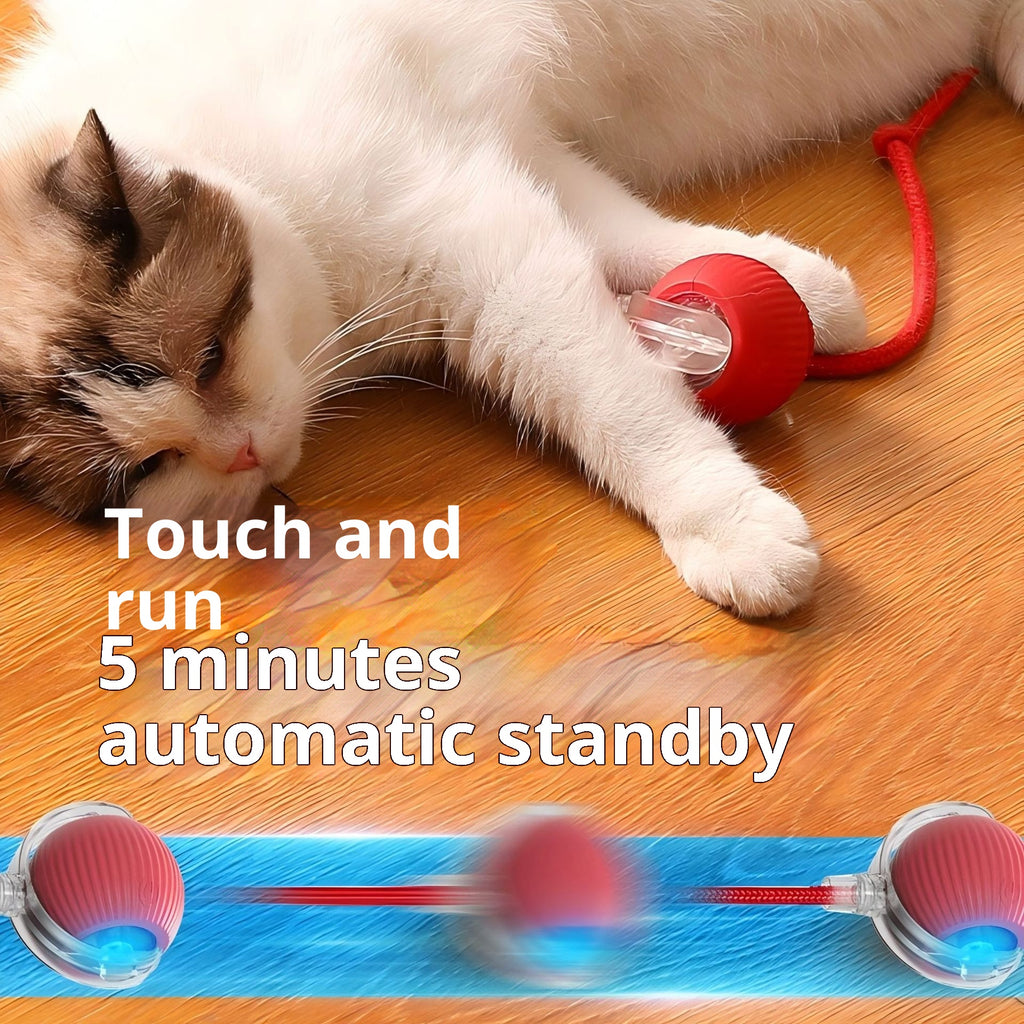 Self-Amusing Boredom-Relief Gadget Pet Supplies Dog