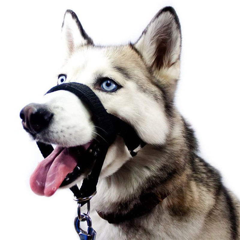Adjustable Anti-Bite Mask Pet Traction Suit Training Belt Pet Muzzle