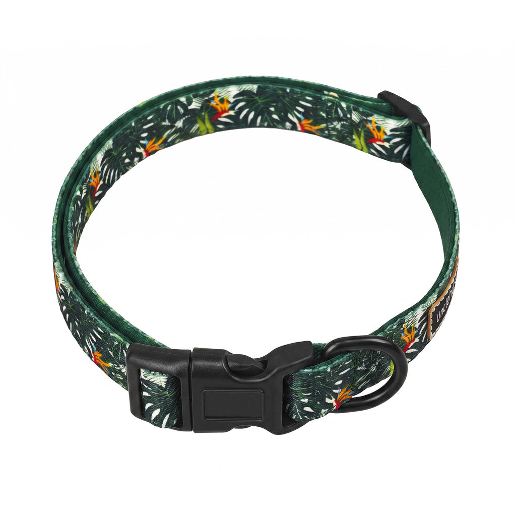 Dog Leash Harness And Collar Set