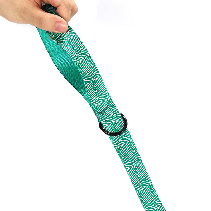 Fashionable Printed Nylon Dog Collar And Leash
