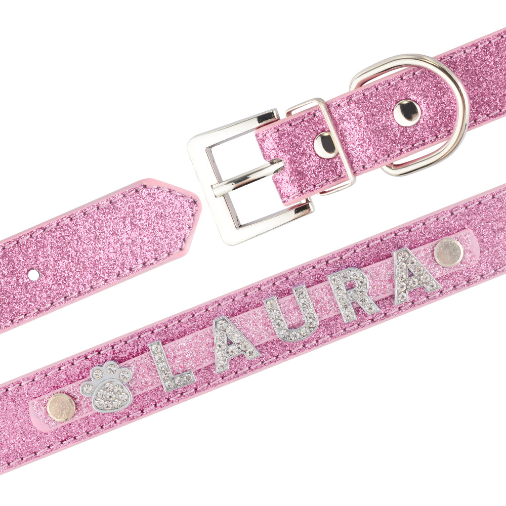 DIY Alphabet Dog Collar Accessory