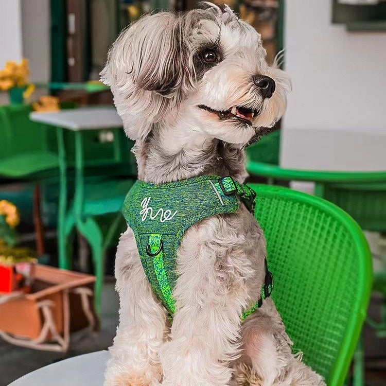 Outdoor Portable Dog Vest-Type Hand Holding Rope