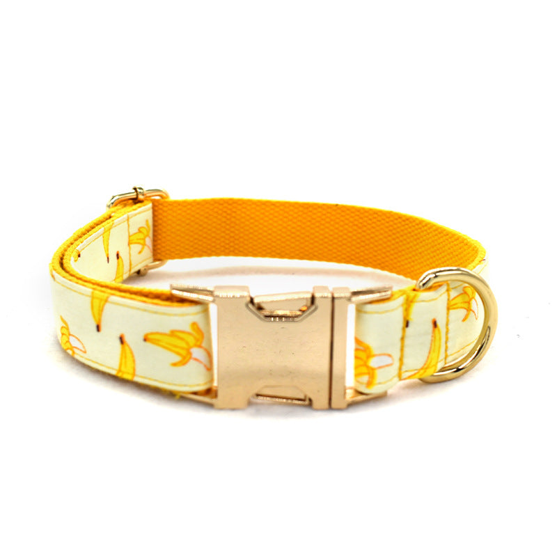 Gold Buckle Rope Dog Collar
