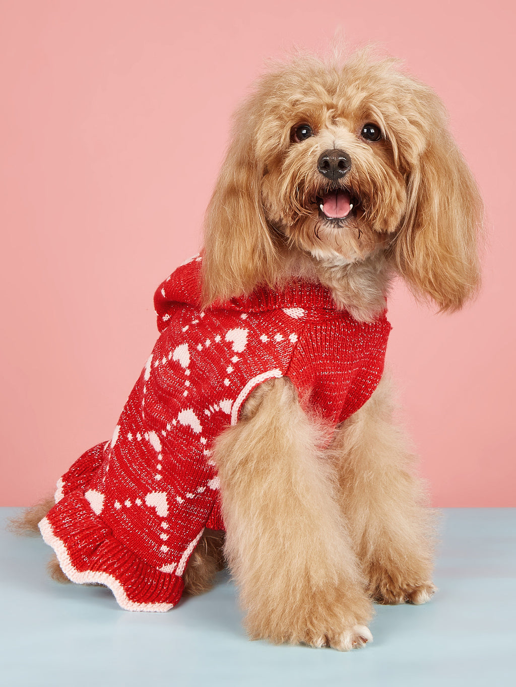 Small Dog Winter Knit Hoodie Dress