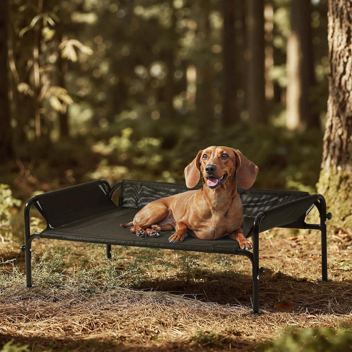 Gardner Small Dog Outdoor Waterproof Portable Breathable Mesh Pet Bed With Three-Sided Guardrail Self-Pickup Orders Support Fedex, Amazon Sh