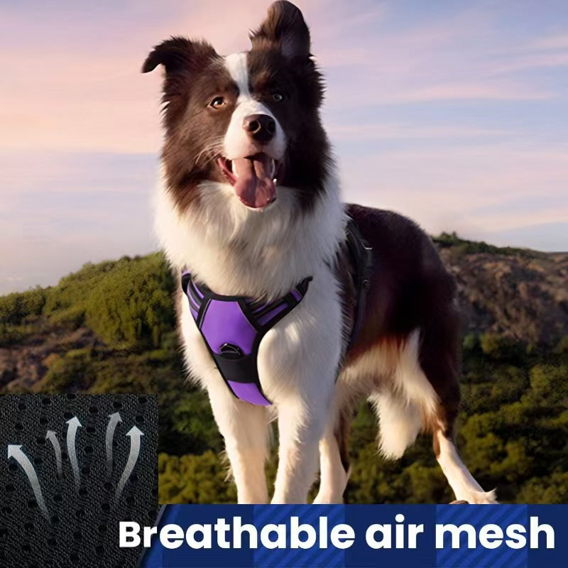 Multi-Layer All-In-One Pet Dog Harness And Leash Set - Durable Nylon Walking Rope For Small Medium Large Dogs Outdoor Training