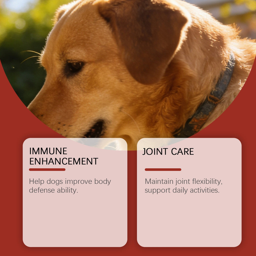 Mushroom Chewable Tablets For Dogs