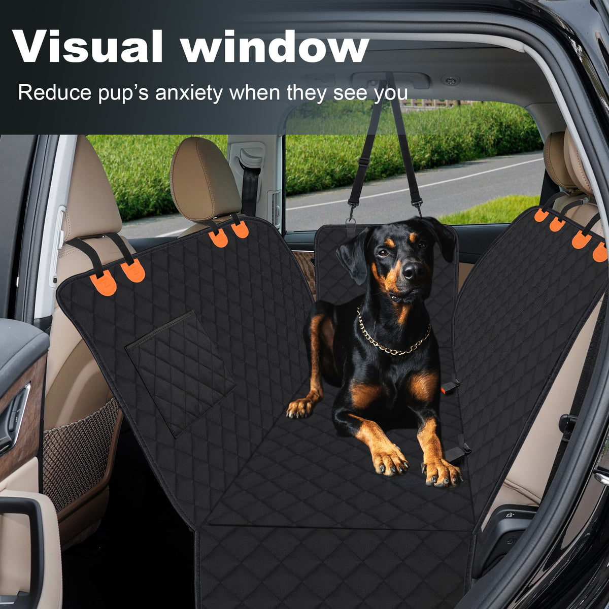 Removable Washable Mat for Large Dogs