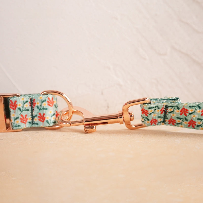 Soft Dog Collar and Leash Set