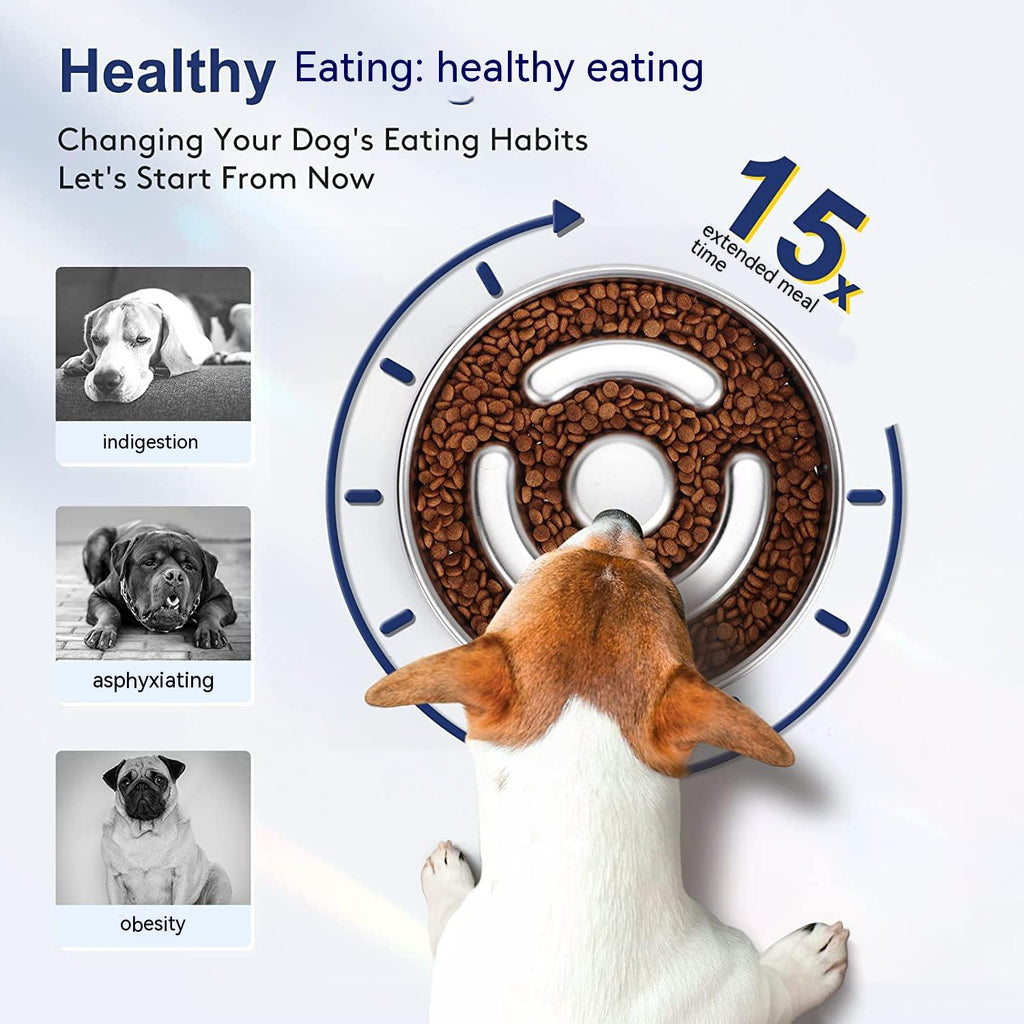 Stainless Steel Slow Feeding Pet Bowl