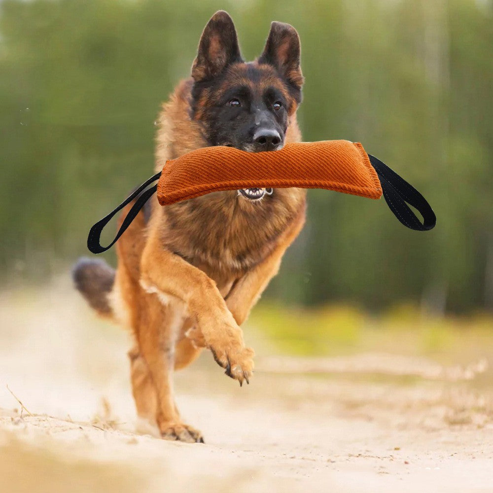 Dog Drag Bite Pillow Training Toy