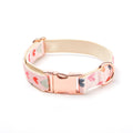 Pet Supplies Metal Buckle Dog Walking Suit