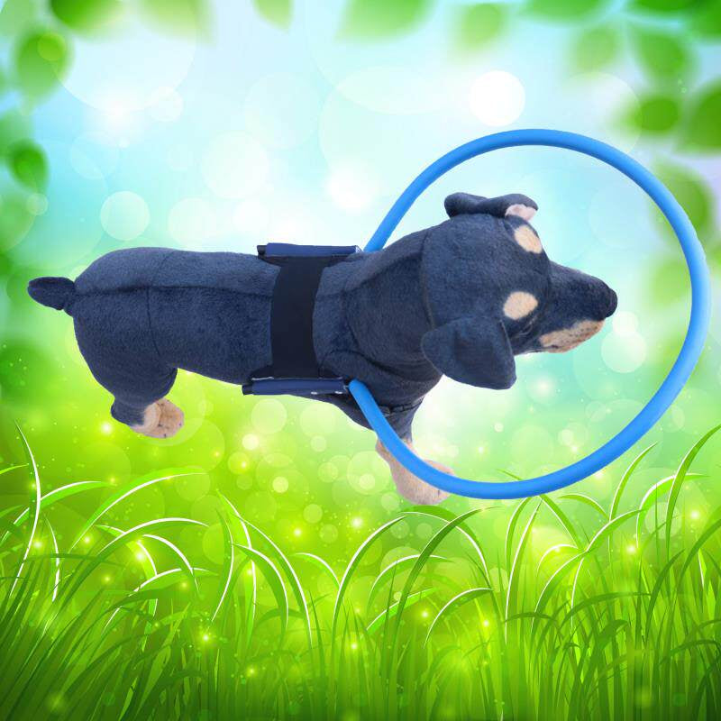 Head Protection Ring For Blind Pets