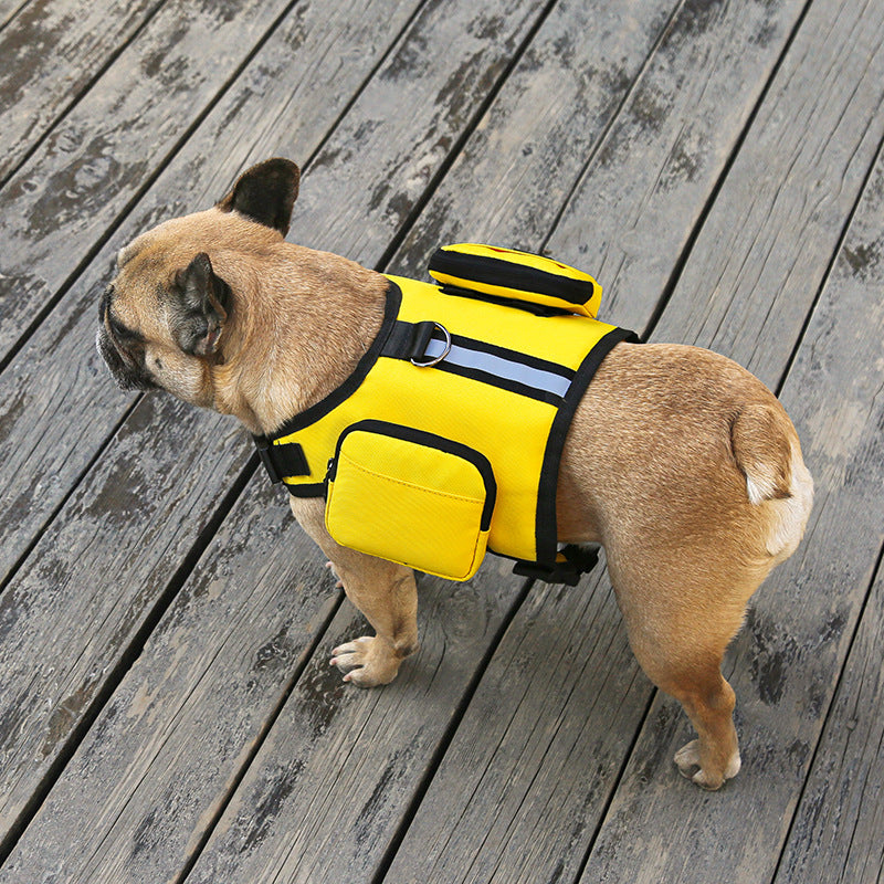 Go Out Portable Multi-Function Pet Backpack With Leash