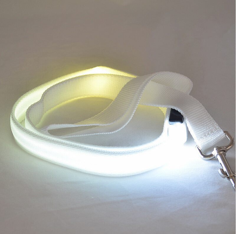 Glowing LED Dog Leash