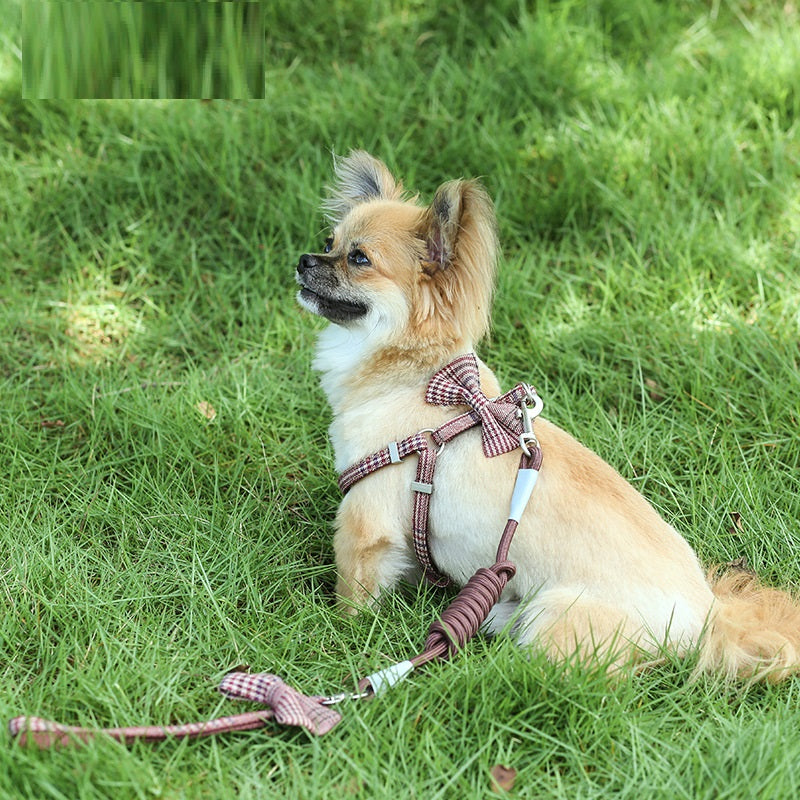 Small And Medium-Sized Leash Pet Dog Supplies