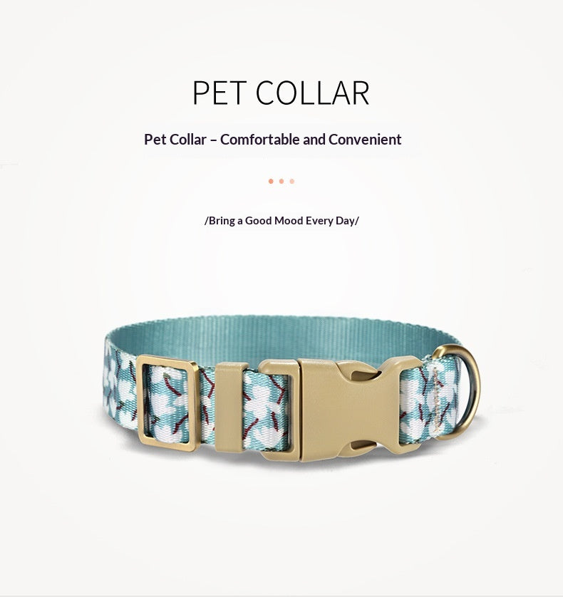 Nylon-Like Silk-Screened Dog Collar