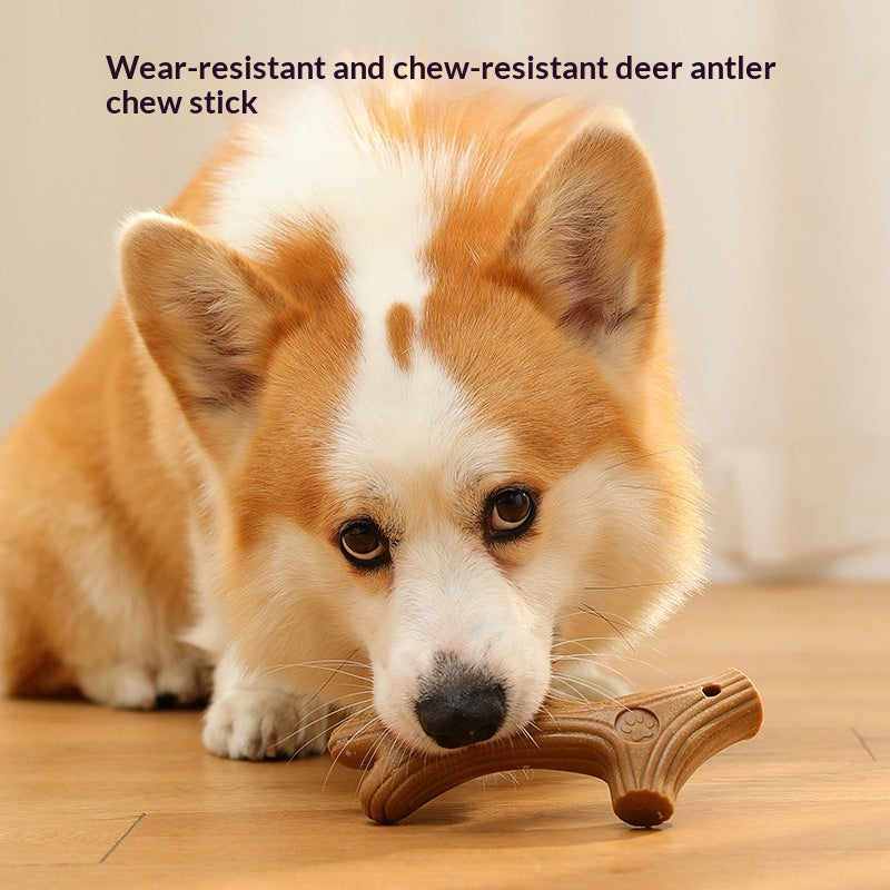Bite-Resistant Pine Wood Dog Bone Chew