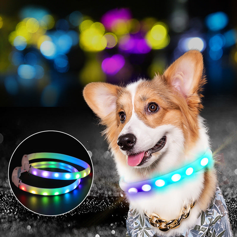 USB Rechargeable LED Dog Collar