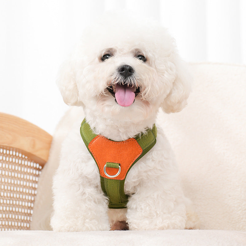 Retro Dog Hand Holding Rope Pet Harness