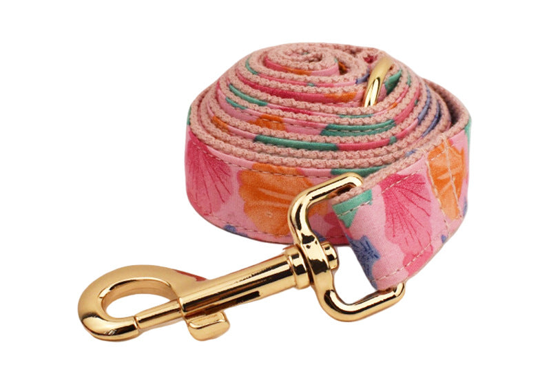 Foundation Shell Dog Collar Pet Collar Bow