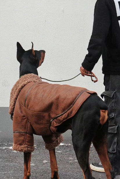 Winter Velvet-Lined Leather Big Dog Coat