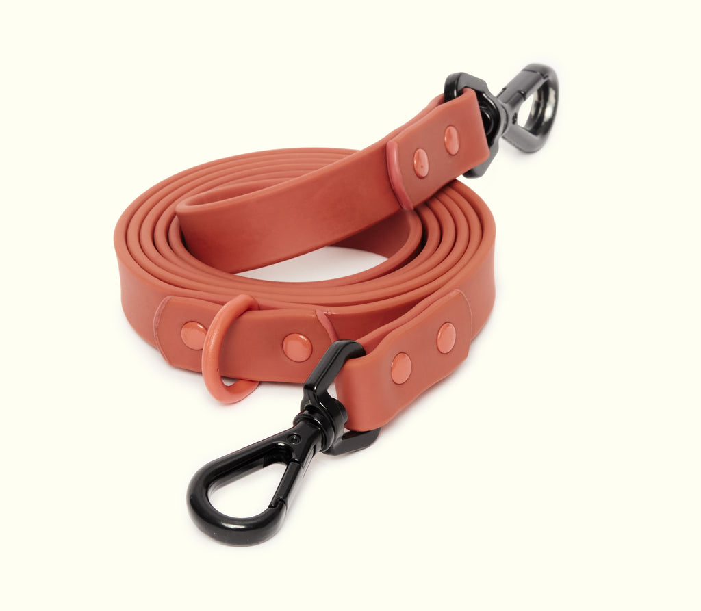Skin Friendly Waterproof And Antifouling Pet Traction Rope