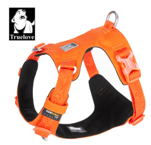 Lightweight Outdoor Dog Walking Harness