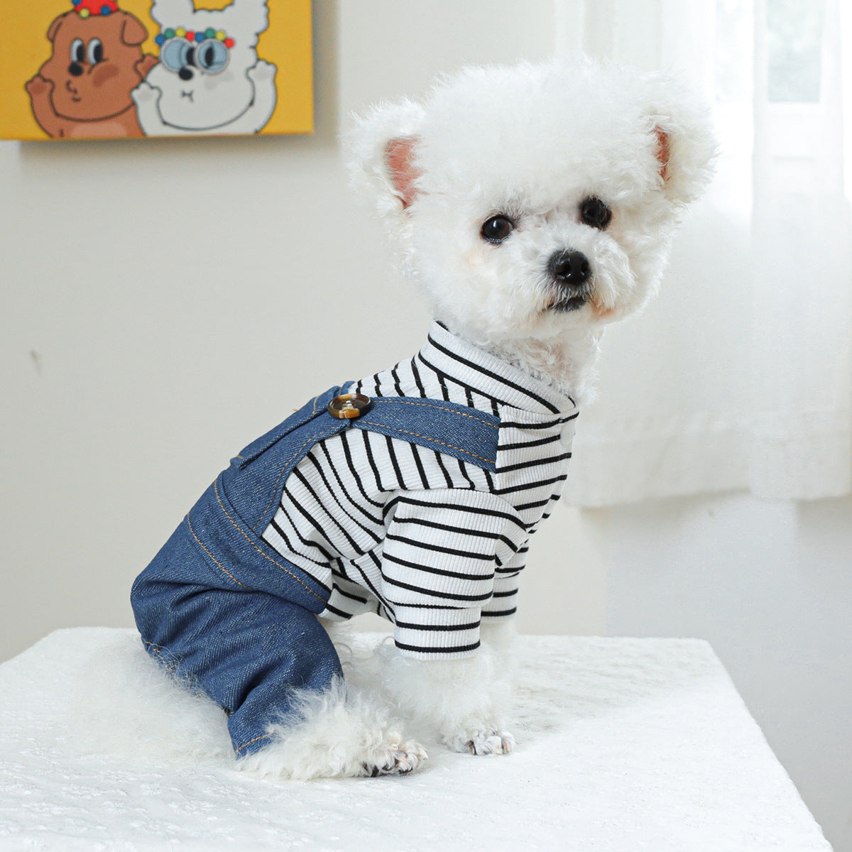 Cute Bear Dog Clothes