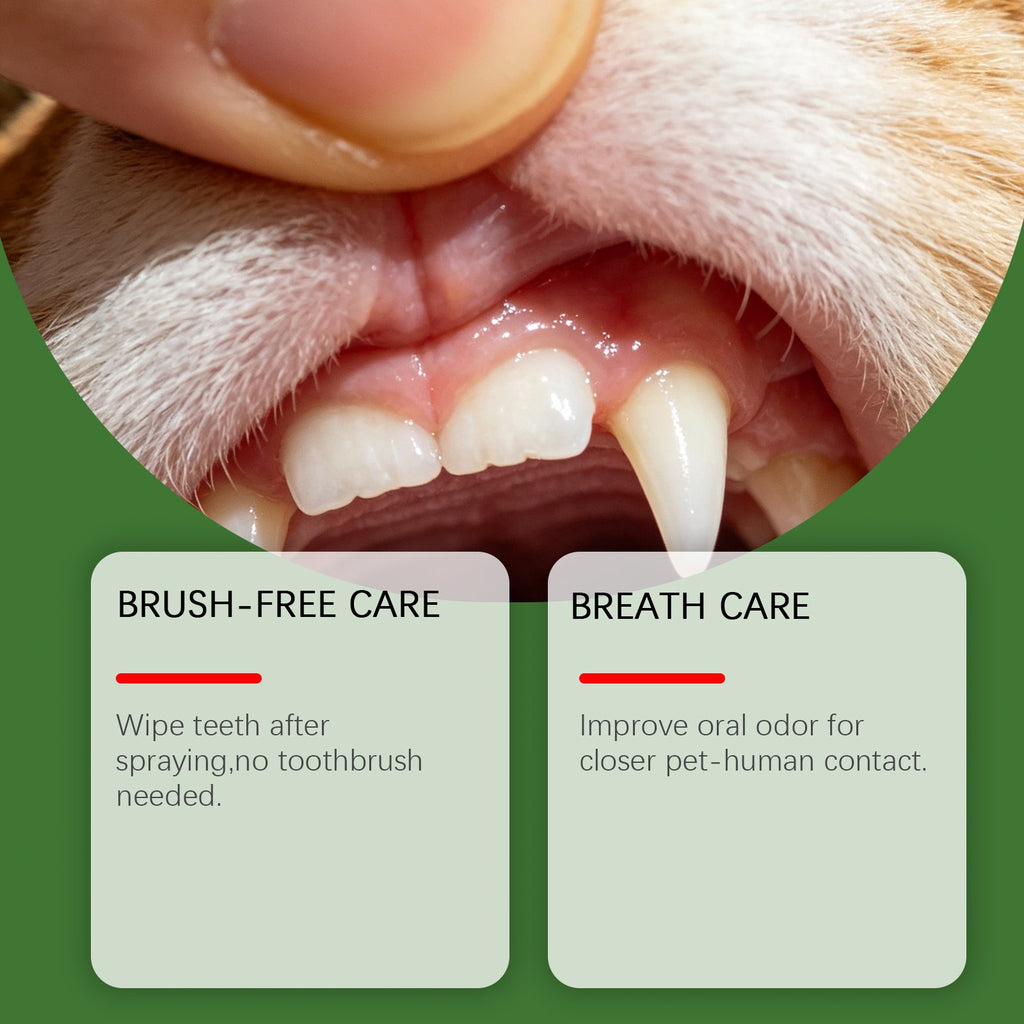 Dental Care Spray For Dogs
