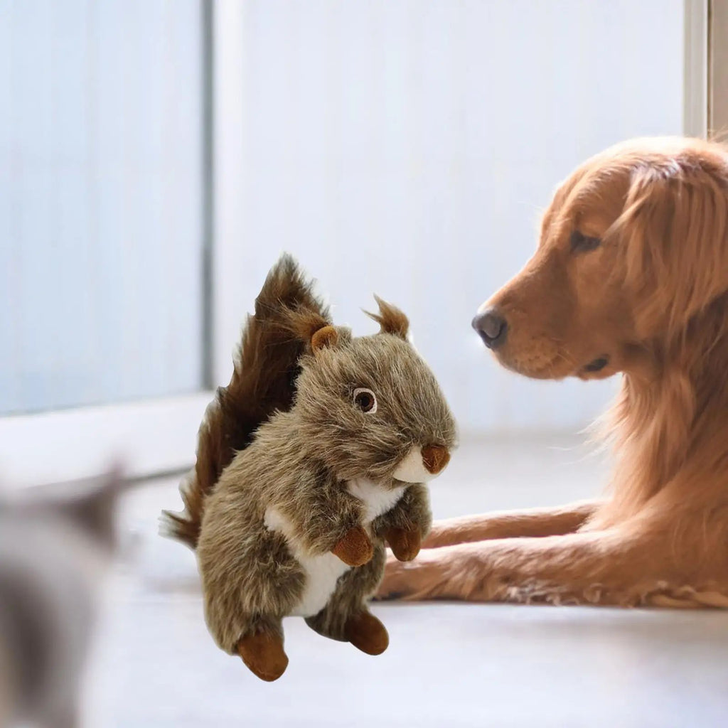 Squeaky Squirrel Plush Dog Chew Toy