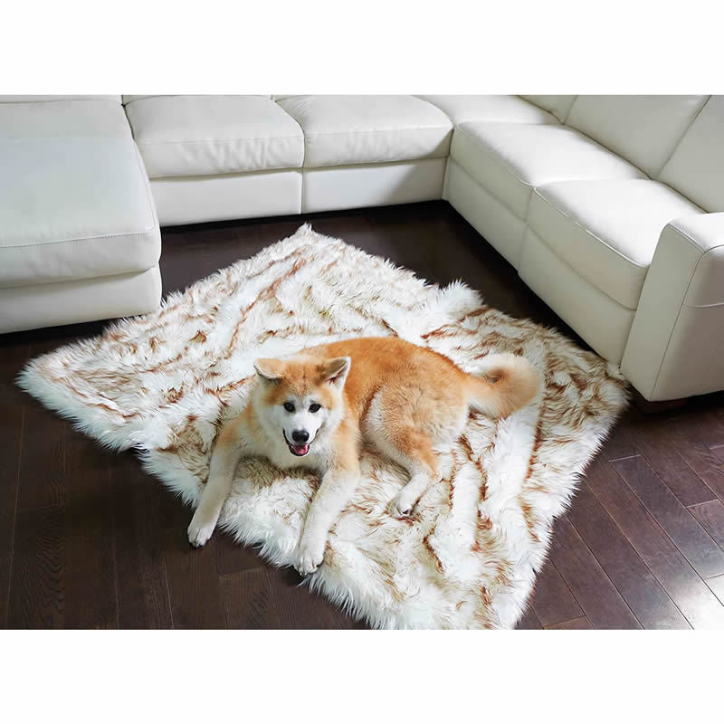 Machine Washable Waterproof Dog Couch Bed