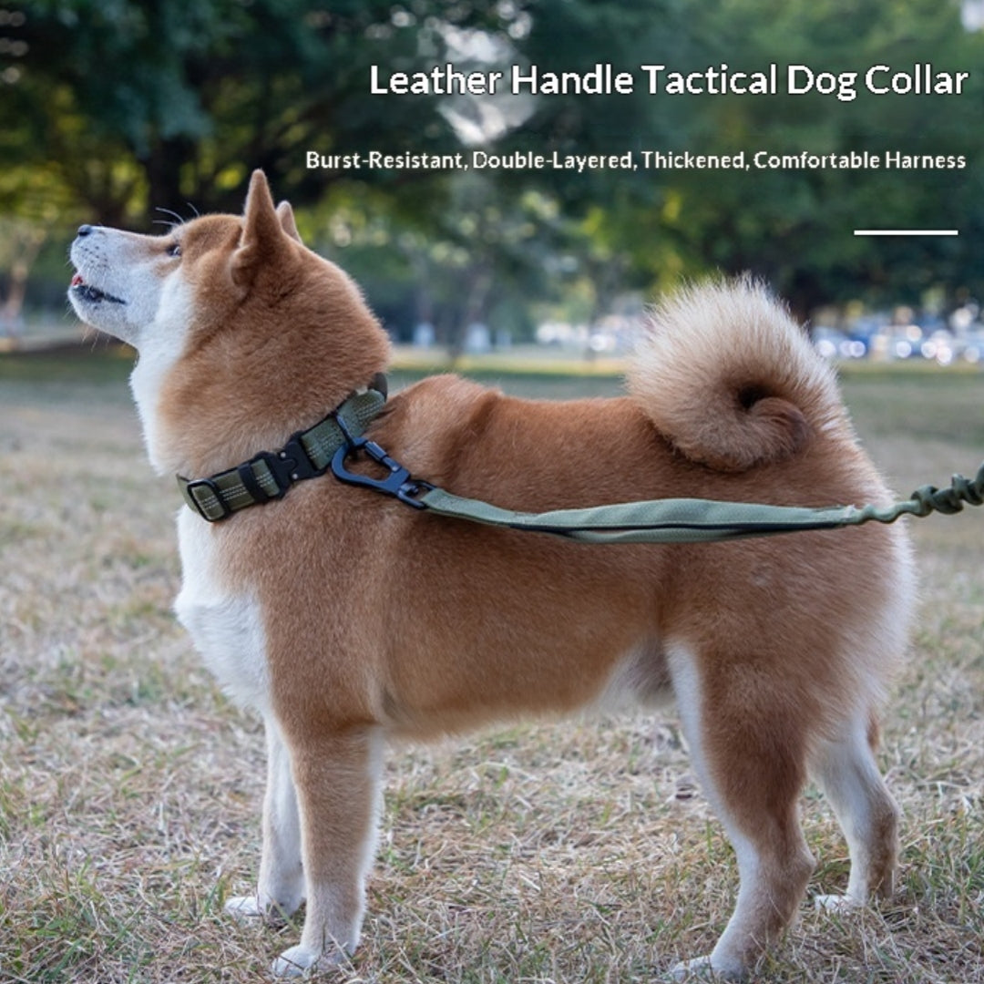 Anti-Lost Dog Collar For Small To Large Dogs