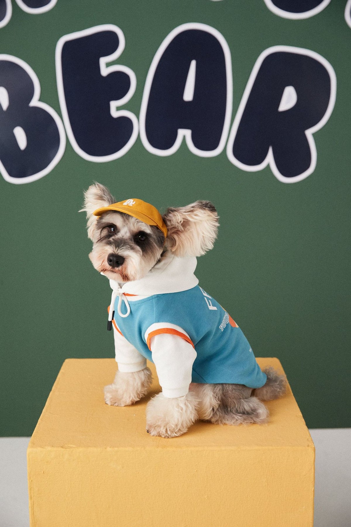 Fashion Stitching Contrast Color Fake Two-Piece Pet Sweater