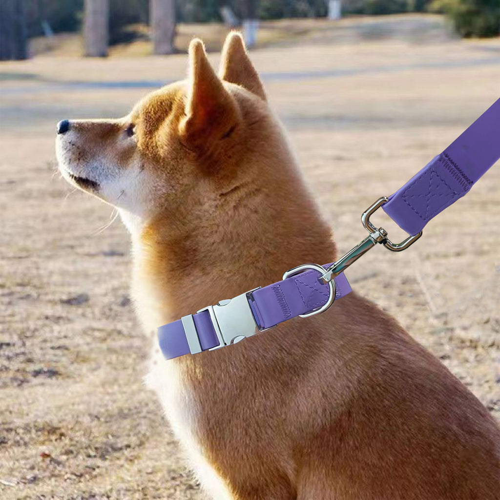 Waterproof Adjustable Silicone Dog Leash