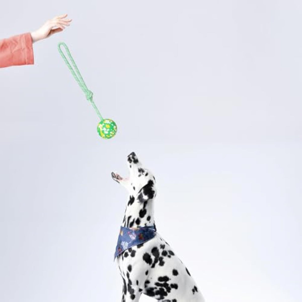 Dog Ball On Rope Dog Toy For Medium Small Dog Interactive Natural Solid Rubber Dog Rope Ball Dog Fetch Pull Tug Throw Toy Ball Toys