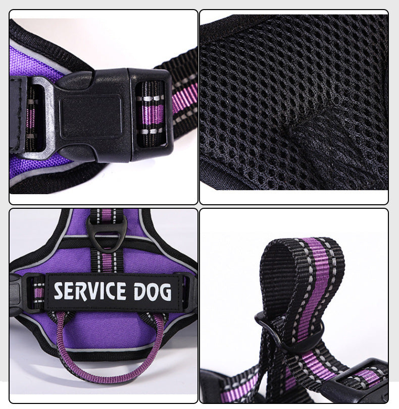 Personalized Oxford Dog Back Strap