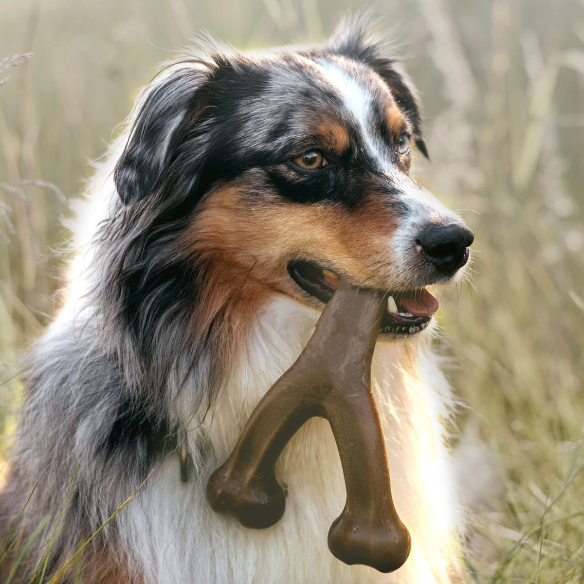 Pet Dog Bite Molar Rod Durable