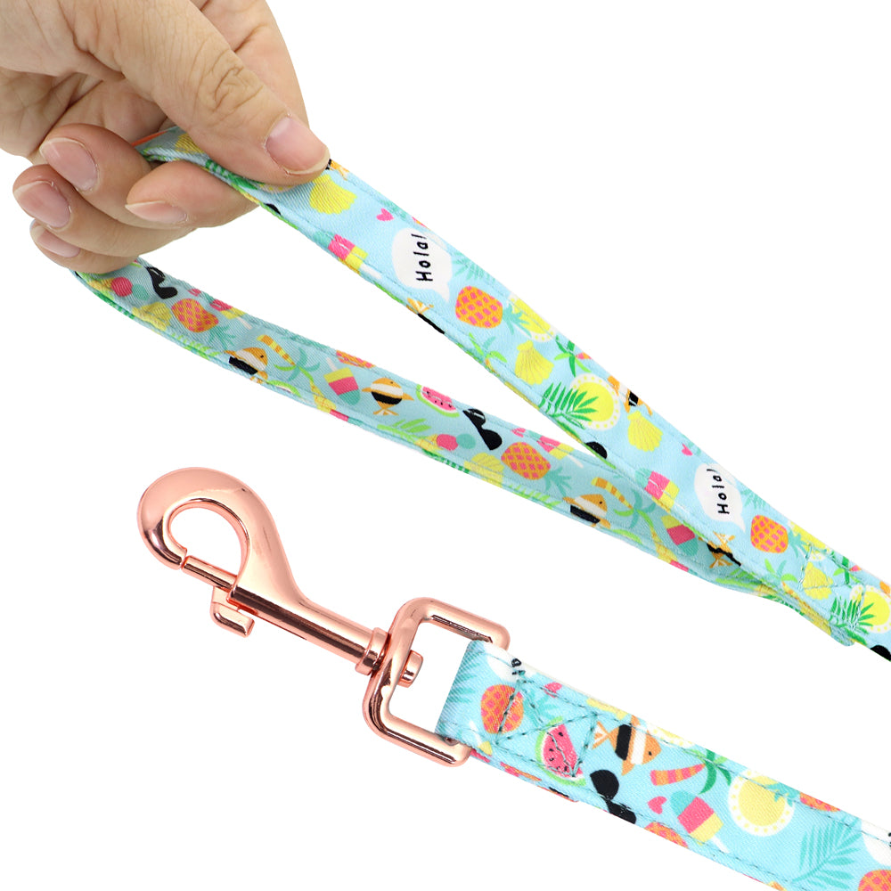 Dog Collar Leash And Strap Set